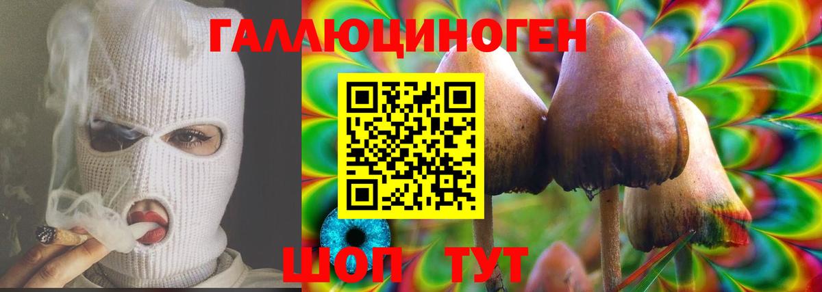 Елизово  Галлюциногенные грибы Psilocybine cubensis  Вход с VPN  Псилоцибиновые грибы MAGIC MUSHROOMS 